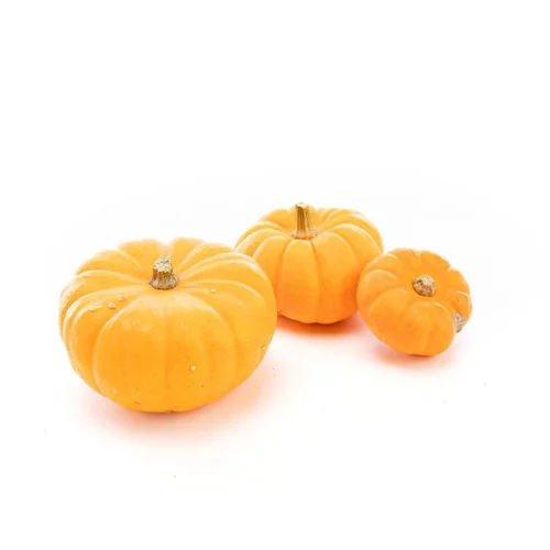 Courge Jack Be Little bio de France - Prix au kg