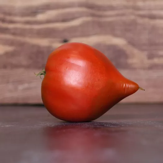 Bio zaden van Tomaat Téton de Vénus
