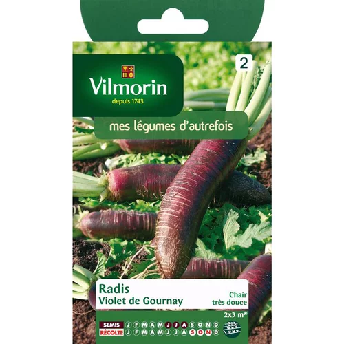Graines de radis violet de gournay Vilmorin - graines à semer