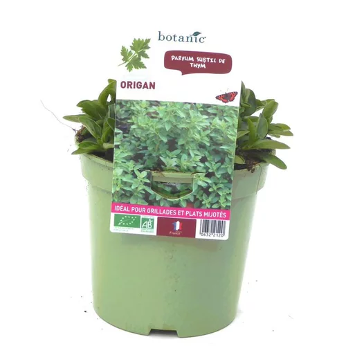 Origan Bio. Le pot de 1 litre