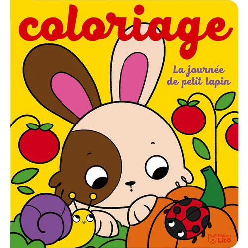 Livre La journée des petits animaux en coloriage éditions Lito - 8 pages