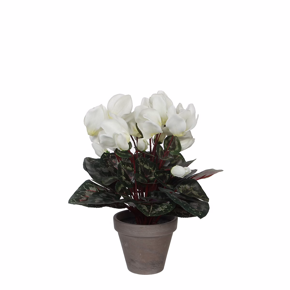 Cyclamen blanc artificiel ø30 x h.30 cm en pot Stan gris ø11 – 5 cm