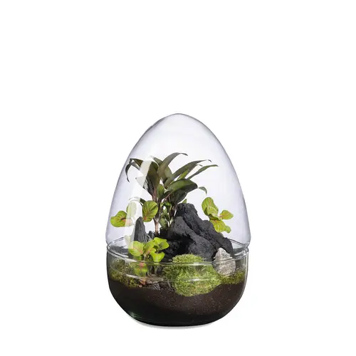 Terrarium autonome Dyno Landscape botanic® - taille L