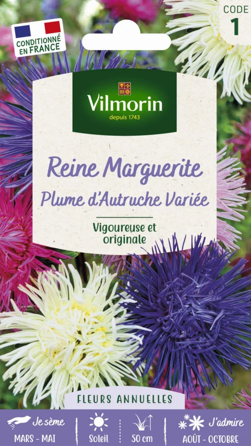 Reine Marguerite Plume d'Autruche variée Vilmorin - graines à semer