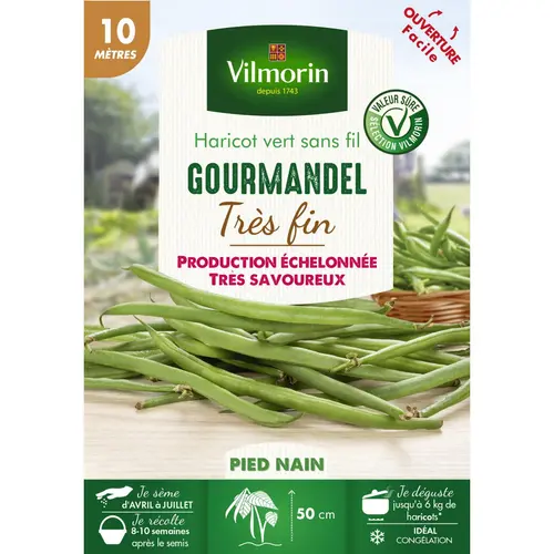 Graines de haricot gourmandel coloris vert Vilmorin jardin - graines à semer