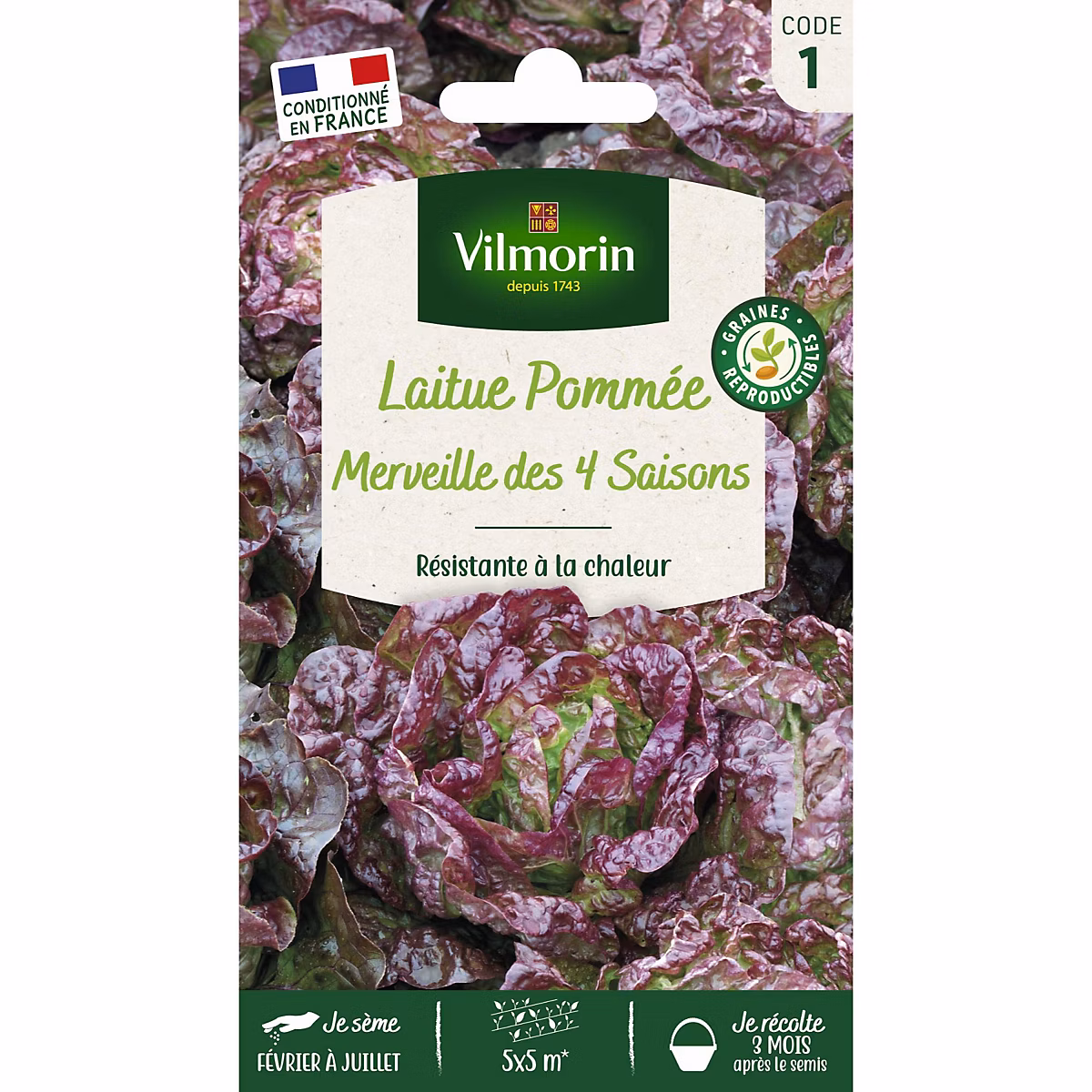 Graines laitue variété Pommée merveille des 4 saison Vilmorin – Réf. SVWYRTMDK5612349852