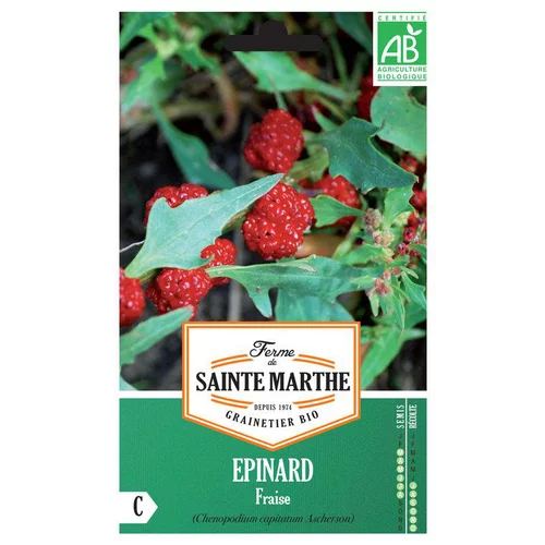 Graines d'épinard fraise bio Ferme de Sainte Marthe - graines à semer