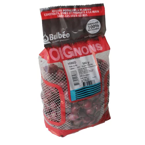 Bulbes d’oignons rouge hyred 500 g