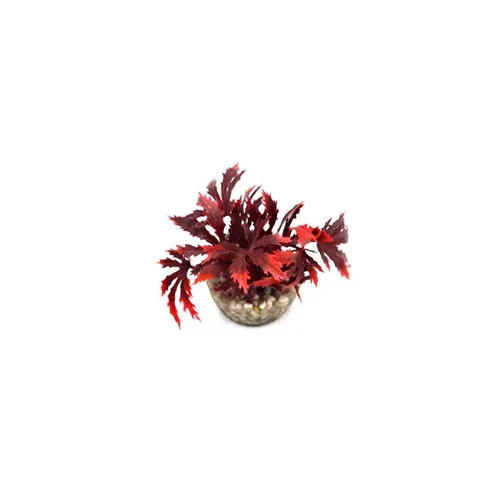Papyrus rouge en plastique 8 cm