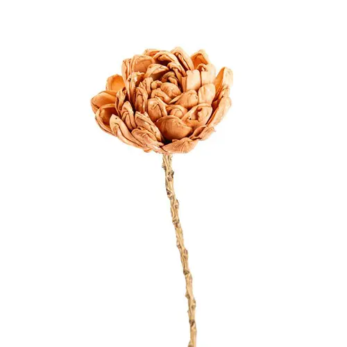 Fleur en bois de Sola et coco forme Dalhia - Ø 8 x H 50 cm