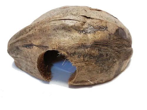 Noix de coco pour terrarium coloris marron Reptile Planet Coco Casa