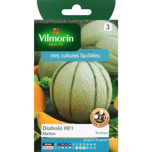 Graines de melon diabolo Vilmorin - graines à semer