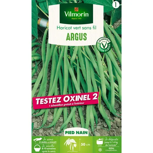 Boite de graines haricot vert Argus avec échantillon oxinel 2 coloris vert Vilmorin jardin - 10 x 2,7 x 17,2 cm