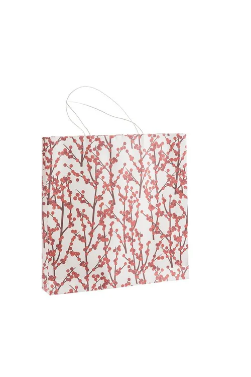 Sac cadeau baies coloris multicolore - 30,5 x 25 x 10 cm