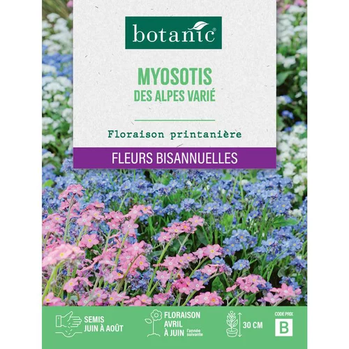 Graines de fleurs de Myosotis des Alpes varié botanic®