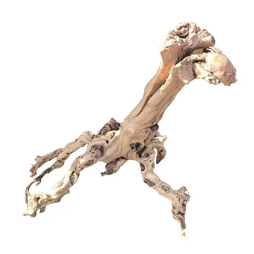 Racine Mopavigne pour aquarium et terrarium – Taille S