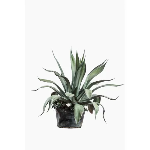 Agave Americana en pot déco de 12 L vert