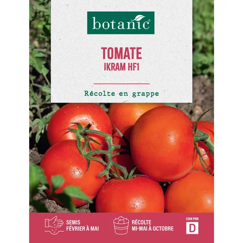 Graines de tomate ikram F1 botanic® - graines à semer