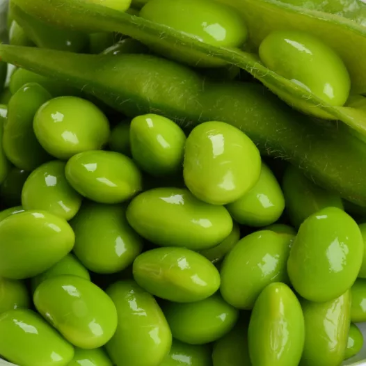 Soya Edamame Chiba Green | Bio en reproduceerbare zaden