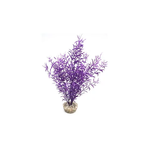 Sprengeri haut violet en plastique 26 cm