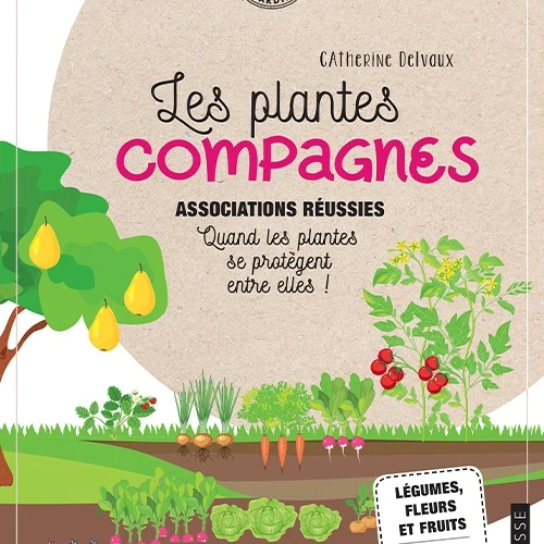 Les plantes compagnes