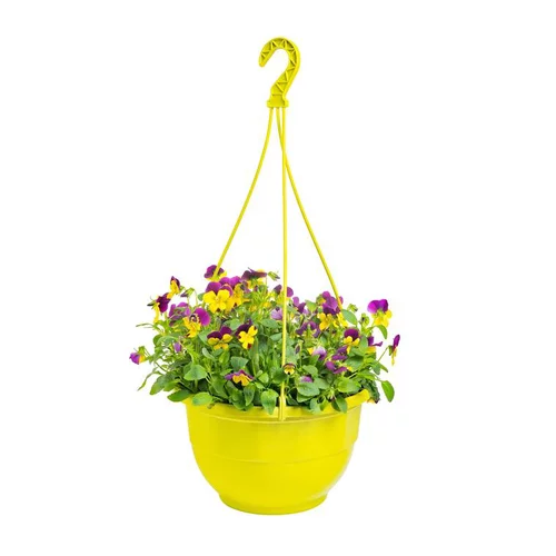 Viola Cornuta - La suspension de 15 cm