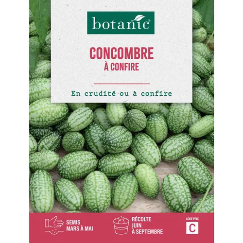 Graines de concombre à confire botanic® - graines à semer