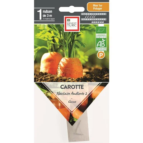 Graines présemées de carotte nantaise améliorée bio Ernest Turc - 1 ruban de 3 m