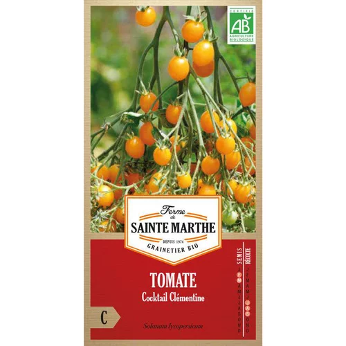 Graines de tomate cocktail clémentine bio Ferme de Sainte Marthe - graines à semer