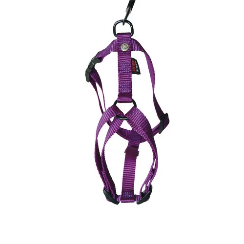 Harnais Confort mauve pour chien - 2,5x70/90 cm