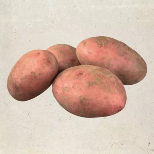 Biologische pootgoed - Aardappel Cherie - 1kg