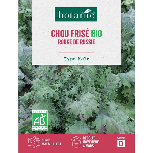 Graines de chou frisé rouge de Russie bio botanic® - graines à semer