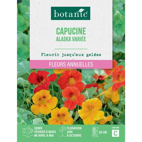 Graines de fleurs de Capucine Alaska variée botanic®