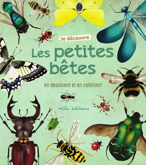 Livre Je découvre les petites bêtes en dessinant et en coloriant - 24 pages