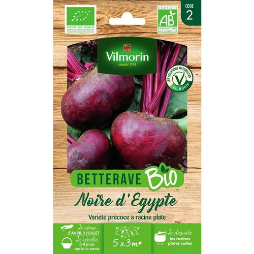 Graines de betterave noire d'Egypte bio Vilmorin - graines à semer