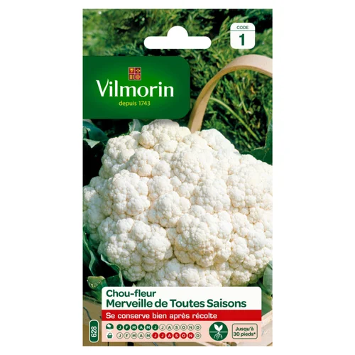Chou-fleur Merveille de toutes saisons Vilmorin - graines à semer