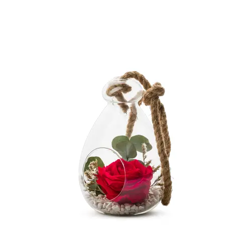 Verrine de végétaux stabilisés rose rouge et eucalyptus avec corde Naturalys Globe - Ø 12 x H 18 cm