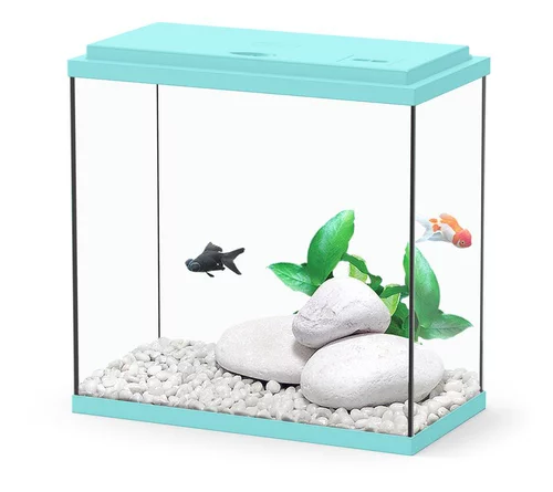Aquarium Coralia avec filtre coloris turquoise Aquatlantis - 18 L