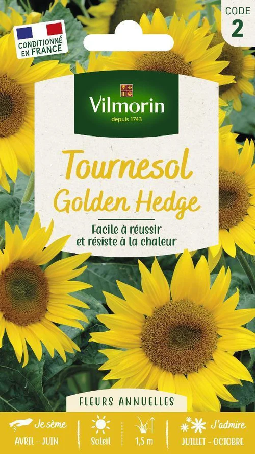 Tournesol Golder Hedge Vilmorin - graines à semer