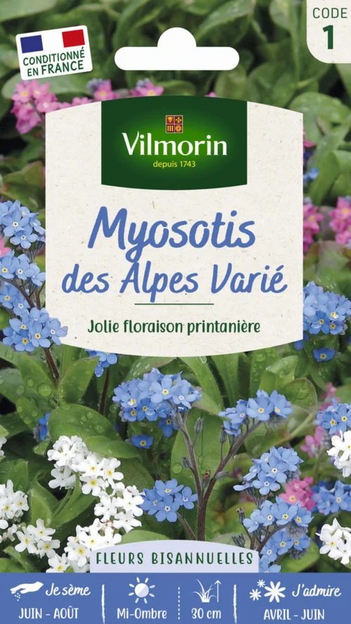 Myosotis des Alpes Varié Vilmorin - graines à semer