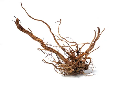 Racine décorative pour terrarium en bois naturel coloris marron Aquavie racine Curlivigne - Taille L