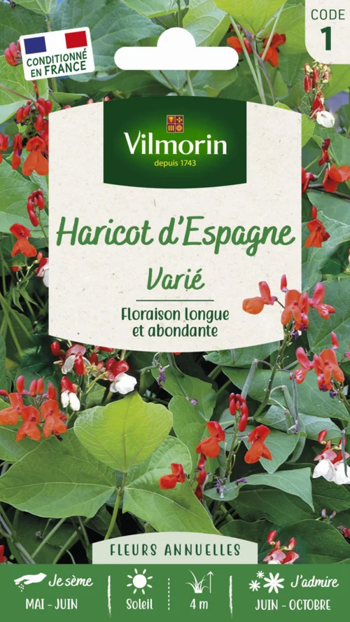 Haricot d'Espagne Varié Vilmorin - graines à semer