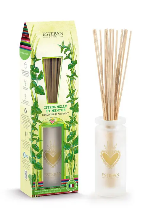 Bouquet parfumé avec sa recharge senteur citronnelle et menthe Esteban - 100 ml