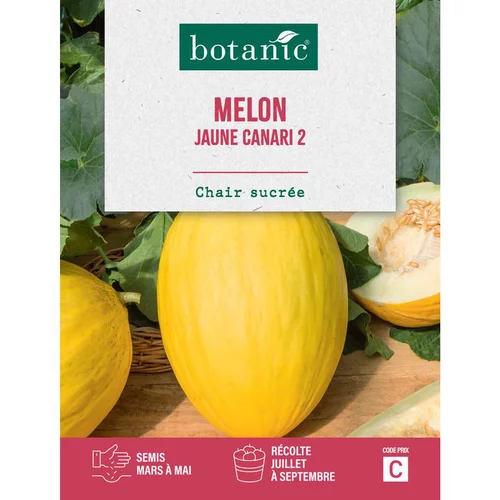 Graines de melon jaune canari botanic® - graines à semer