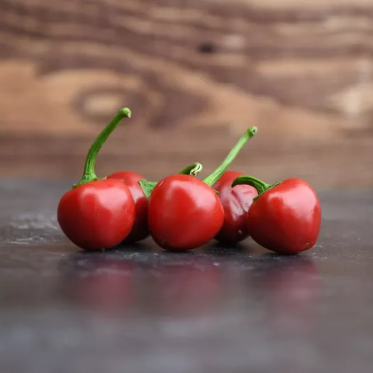 Biologische zaden van Paprika Sweet Cherry