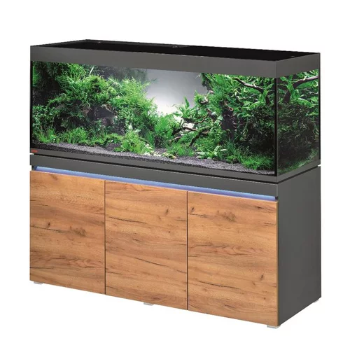 Aquarium eau douce avec meuble coloris graphiteature Eheim Incpiria 530L