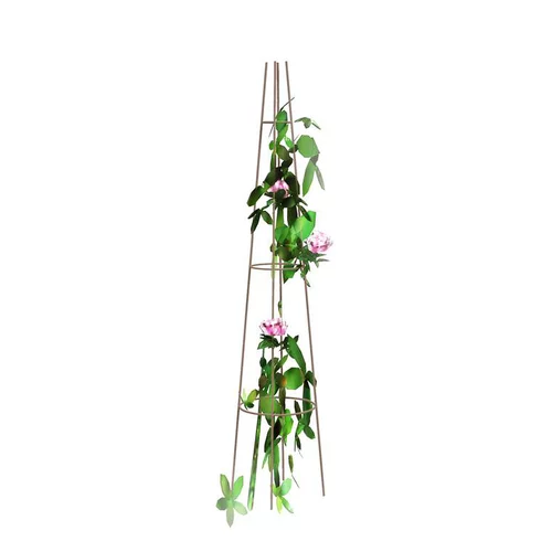 Tuteur Rosier et grimpants 180 cm de haut