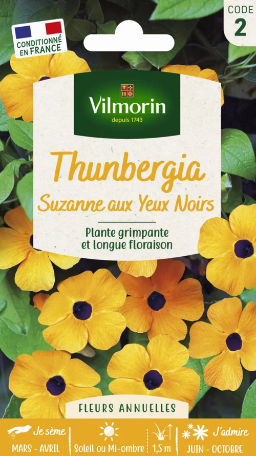 Thunbergia Suzanne aux yeux noirs Vilmorin - graines à semer
