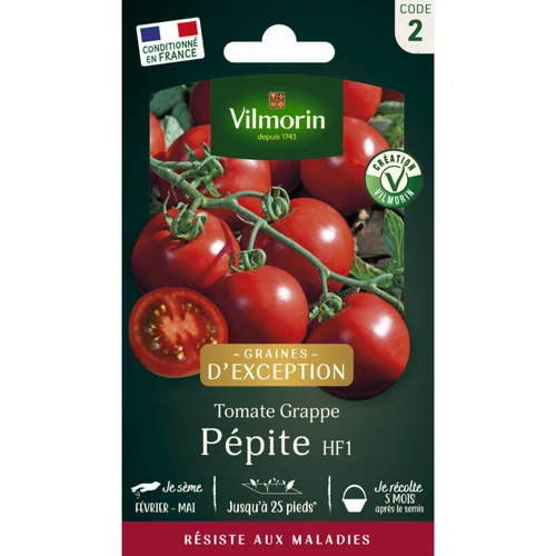 Sachet de semences potagères graines de tomate Pépite HF1 à grappe