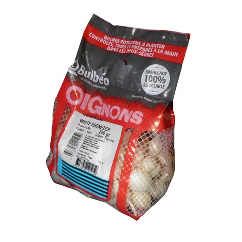 Bulbes d’oignons blanc White Ebenezer calibre 14/21, 250 g